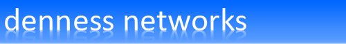 Denness Networks Logo